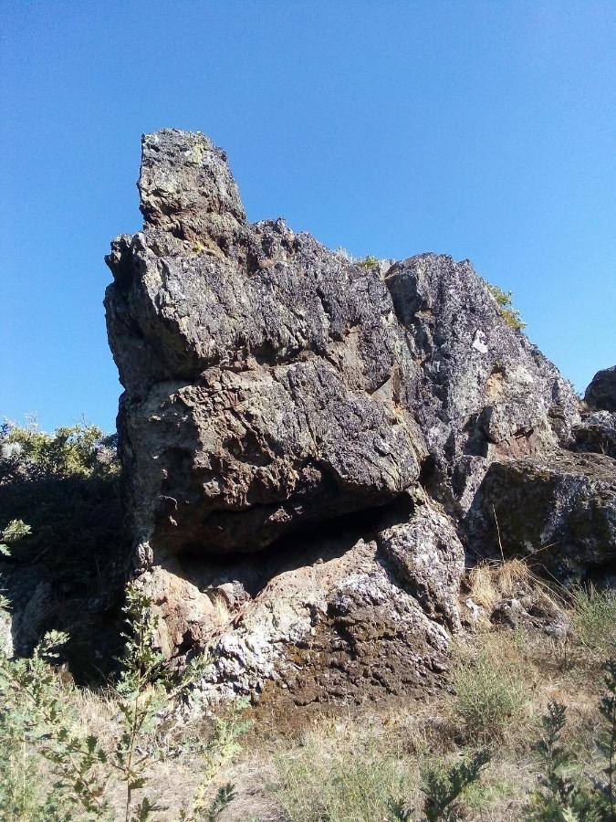 Retiro Terrasol Otel Tó Dış mekan fotoğraf
